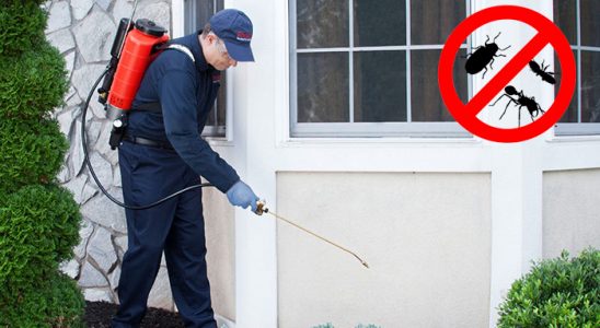 Zonguldak Pire İlaçlama böcek ilaçlama ve haşere kontrolü — ilaclama-tr.com